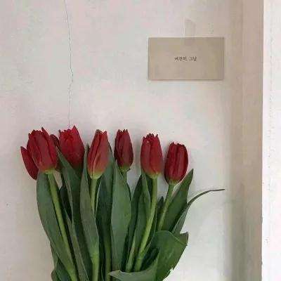 魔道江湖满v版下载