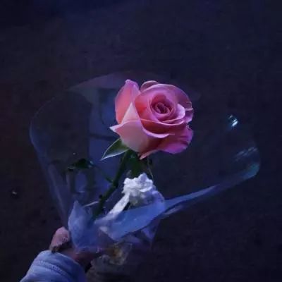精灵联盟梦世界手游正版下载